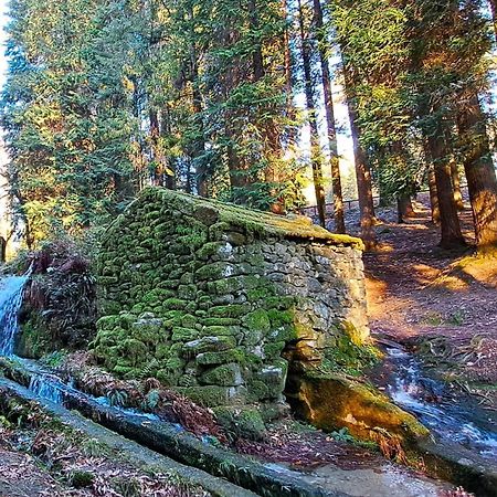 Matos Casas De Campo Cabeceiras de Basto Eksteriør bilde