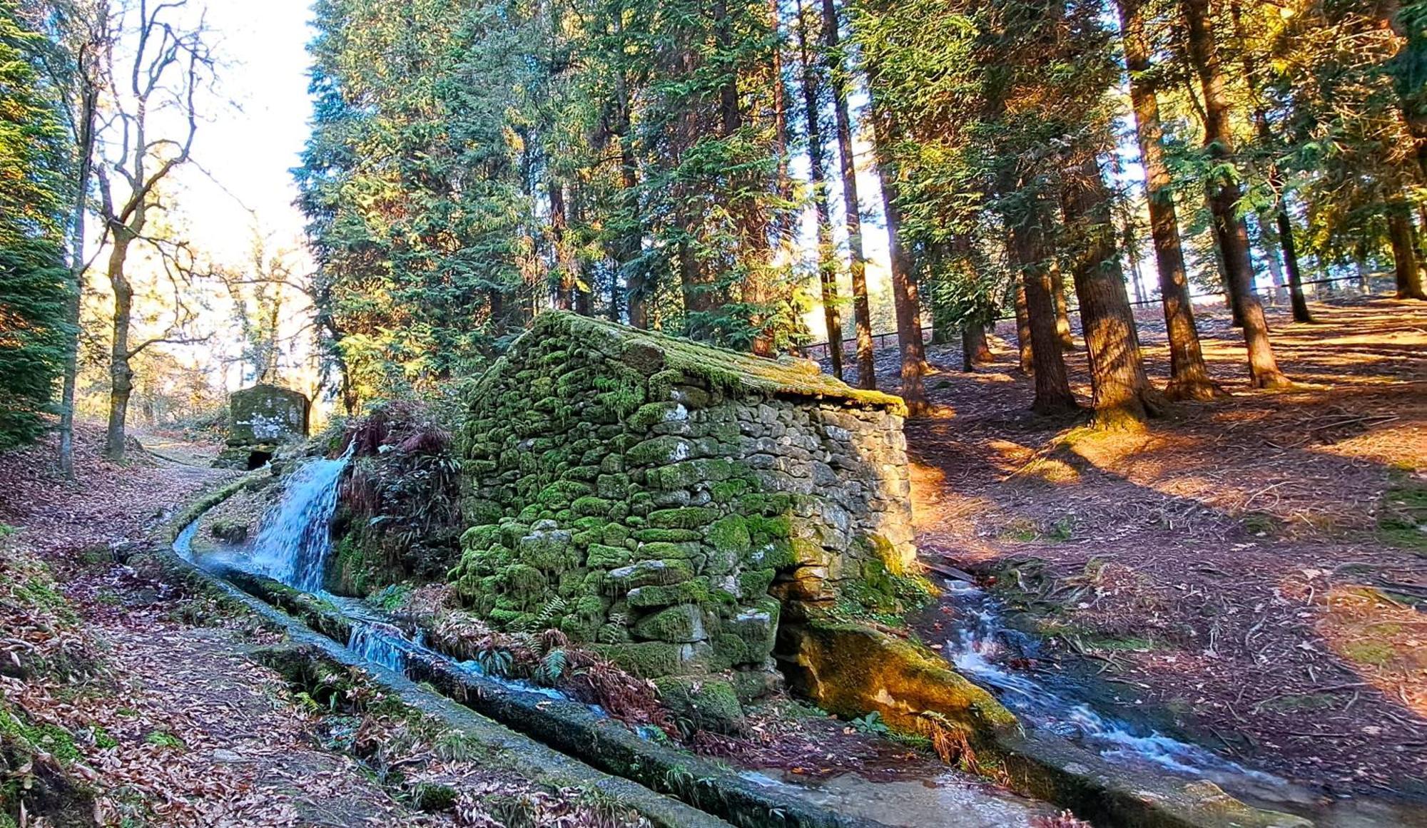 Matos Casas De Campo Cabeceiras de Basto Eksteriør bilde