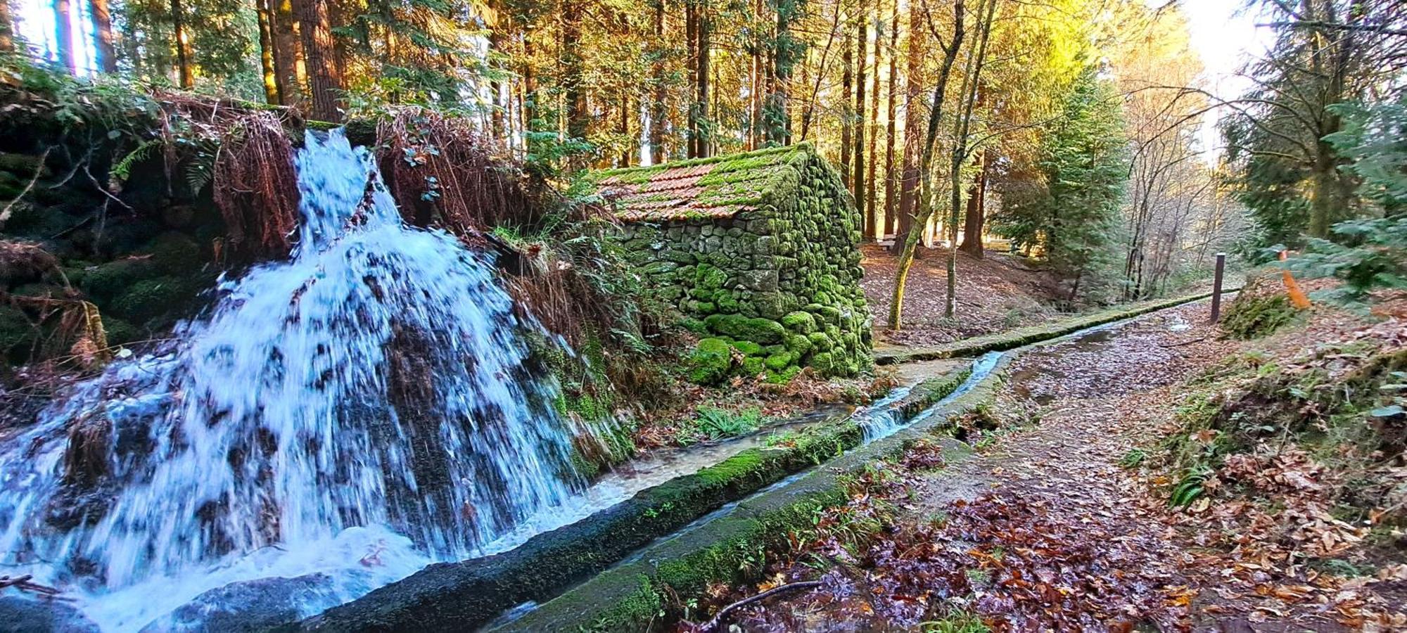 Matos Casas De Campo Cabeceiras de Basto Eksteriør bilde
