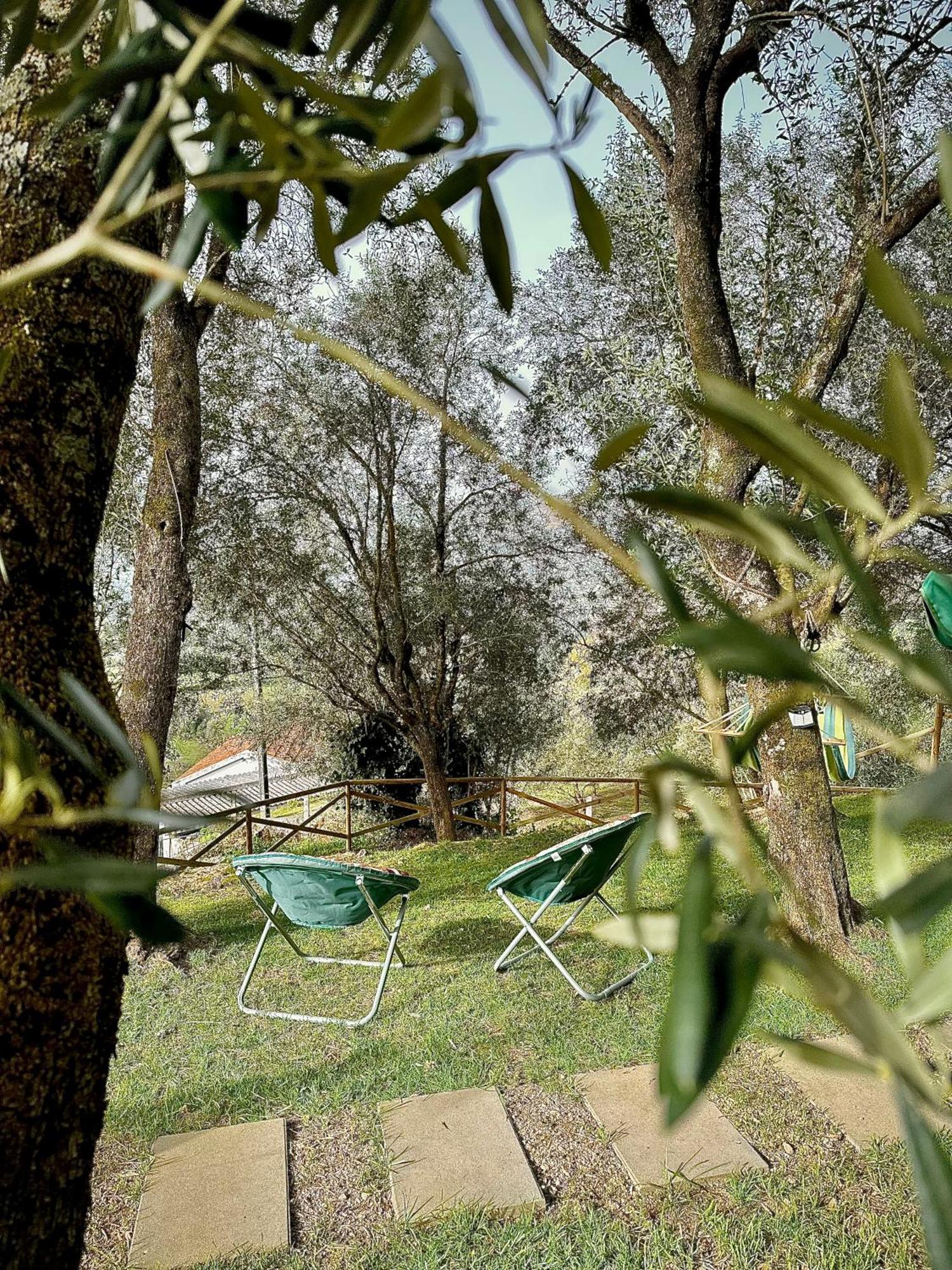 Matos Casas De Campo Cabeceiras de Basto Eksteriør bilde
